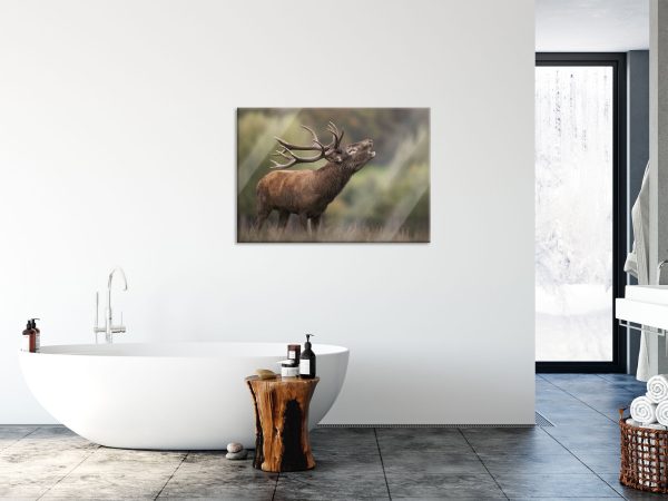 Röhrender Hirsch mit mächtigem Geweih, Glasbild Rabatt – Bild 4