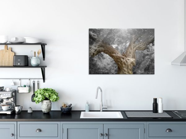 Mächtiger Baum im Wald, Glasbild Schn?ppchen – Bild 3