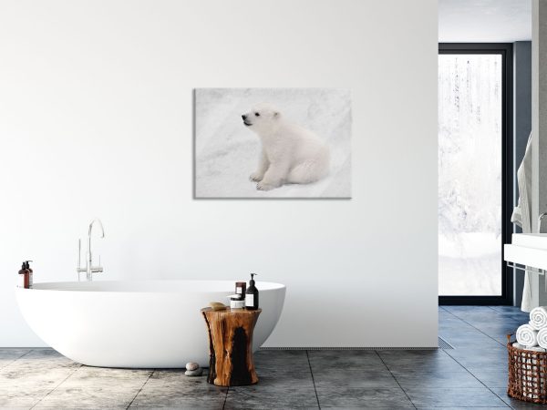 niedliches Eisbär Baby, Glasbild Angebot – Bild 4