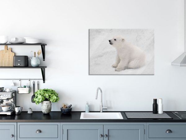 niedliches Eisbär Baby, Glasbild Angebot – Bild 3