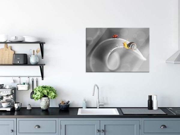 eine Schnecke und Marienkäfer, Glasbild Schn?ppchen – Bild 3